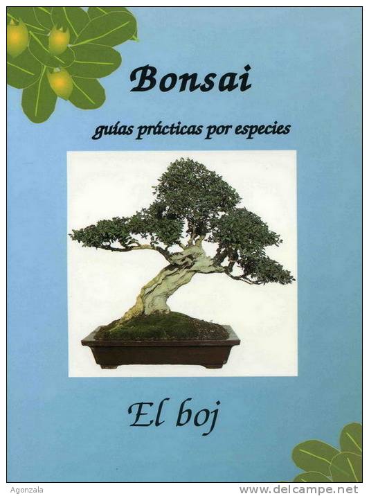 BONSAI - GUIAS PRACTICAS POR ESPECIES - EL BOJ - Ciencias, Manuales, Oficios