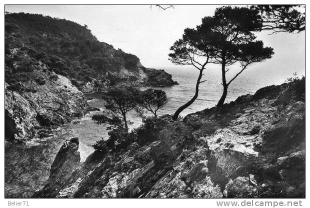 83 / Porquerolles. L'Oustaou De Diou - Porquerolles