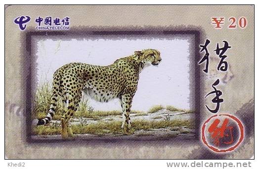 Télécarte CHINE - ANIMAL Félin - GUEPARD - Feline CHEETAH CHINA Telecom Phonecard - GEPARD - 167 - China