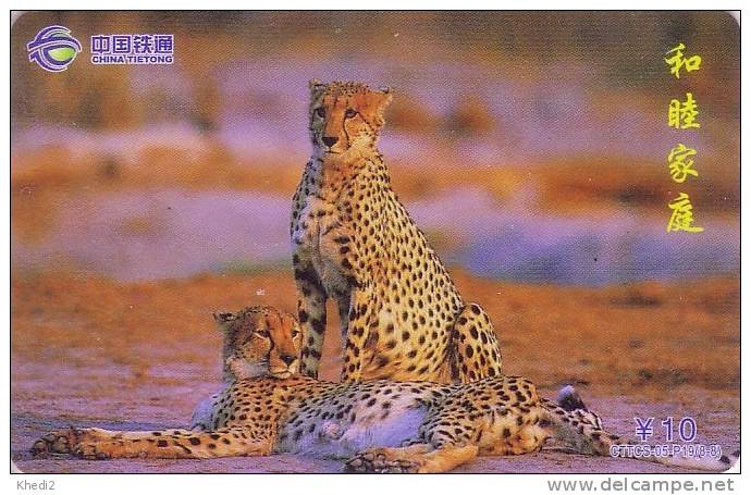 Télécarte CHINE - ANIMAL - Félin - GUEPARD - Feline CHEETAH CHINA TIETONG Phonecard - GEPARD - 172 - Cina