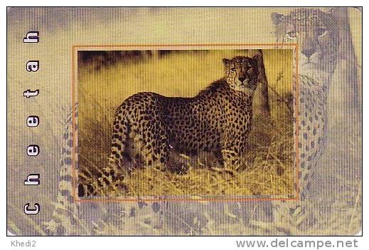 Télécarte Puce Afrique Du Sud  Félin - GUEPARD - Feline CHEETAH Phonecard - GEPARD - 180 - Suráfrica