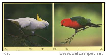 King Parrot & Sulphur Crested Cockatoo From Queensland - Australia. Carte Neuve  210x105 Mm - Other & Unclassified
