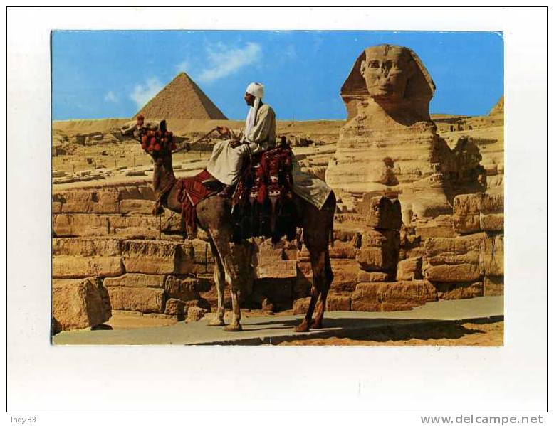 - EGYPTE . GIZA . LE SPHINX ET PYRAMIDE DE MYKERINOS - Sphinx