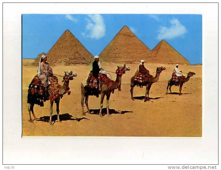 - EGYPTE . GIZA . LES  PYRAMIDES DE CHEOPS KHEPHREN ET MYKERINOS - Piramidi