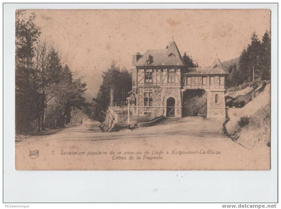 Borgoumont - La Gleize Sanatorium Populaire De La Province De Liège - Entrée De La Propriété - Stoumont