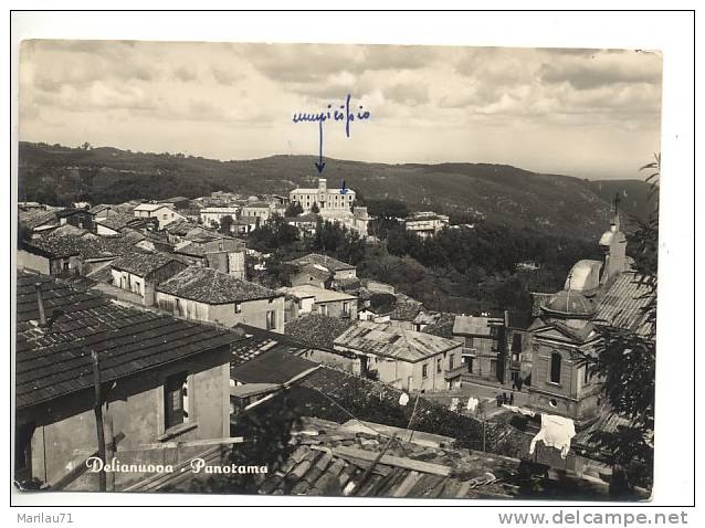 CALABRIA Delianuova Reggio Panorama 1956 Viaggiata - Formato Grande - - Autres & Non Classés