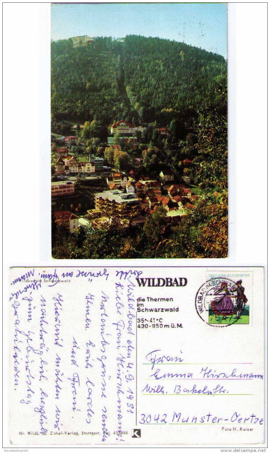 AK Wildbad Im Schwarzwald Totale -4.9.81 - 18 7547 WILDBAD IM SCHWARZWALD Nach 3042 Munster - Oertze - Calw
