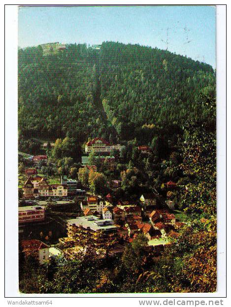 AK Wildbad Im Schwarzwald Totale -4.9.81 - 18 7547 WILDBAD IM SCHWARZWALD Nach 3042 Munster - Oertze - Calw