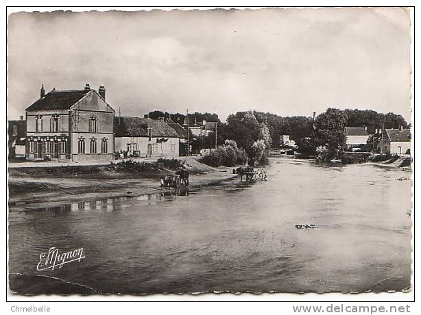 51 SAUVAGE Les Bords De La Seine - Achat Immédiat - Anglure