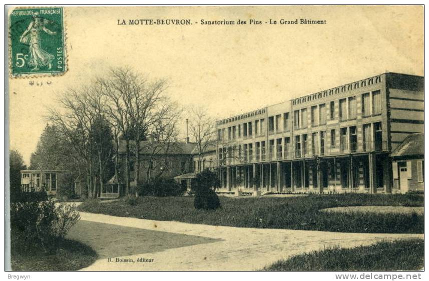 41 - CPA La Motte-Beuvron - Sanatorium Des Pins - Le Grand Bâtiment - Lamotte Beuvron