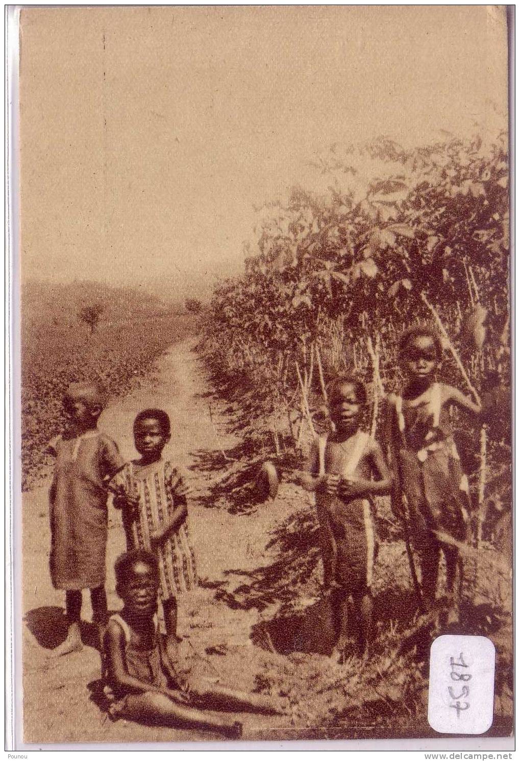 - CONGO - NOS ORPHELINS ABRITES PAR LE MANIOC (1897) - Autres & Non Classés