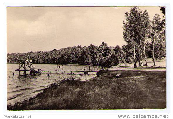 AK Flecken Zechlin Badestrand Mit Liegewiese -4.8.64 - 15 ZECHLIN über RHEINSBERG (MARK) B Nach THIERFELD KReis ZWICKAU - Zechlin