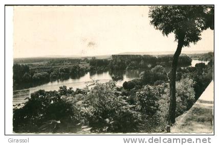 CPSM  HERBLAY 95 La Vallée De La Seine 1955 - Herblay