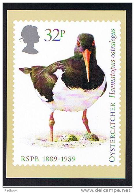 1989 GB PHQ Cards Set Of 4 - Birds - Ref 384 - PHQ-Cards