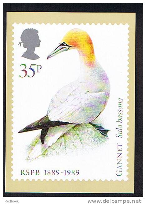 1989 GB PHQ Cards Set Of 4 - Birds - Ref 384 - PHQ-Cards
