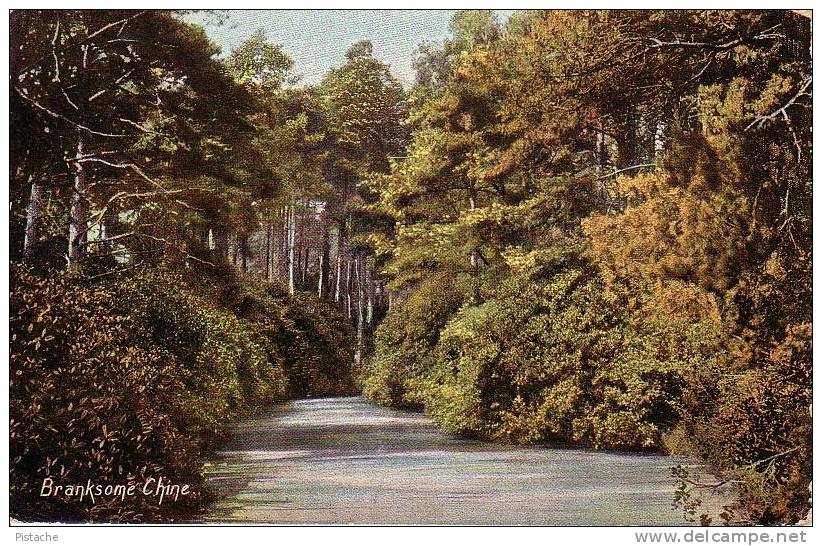 Branksome Chine Dorset England - 1909 - Landscape - Circulée Timbrée - Éd.: The Wrench - Autres & Non Classés