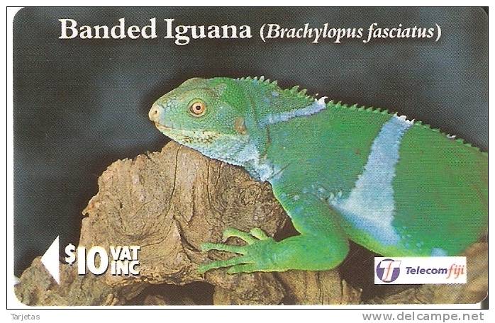 TARJETA DE FIJI DE UNA IGUANA DE BANDAS   (REPTIL-LIZARD-REPTILE) - Otros & Sin Clasificación