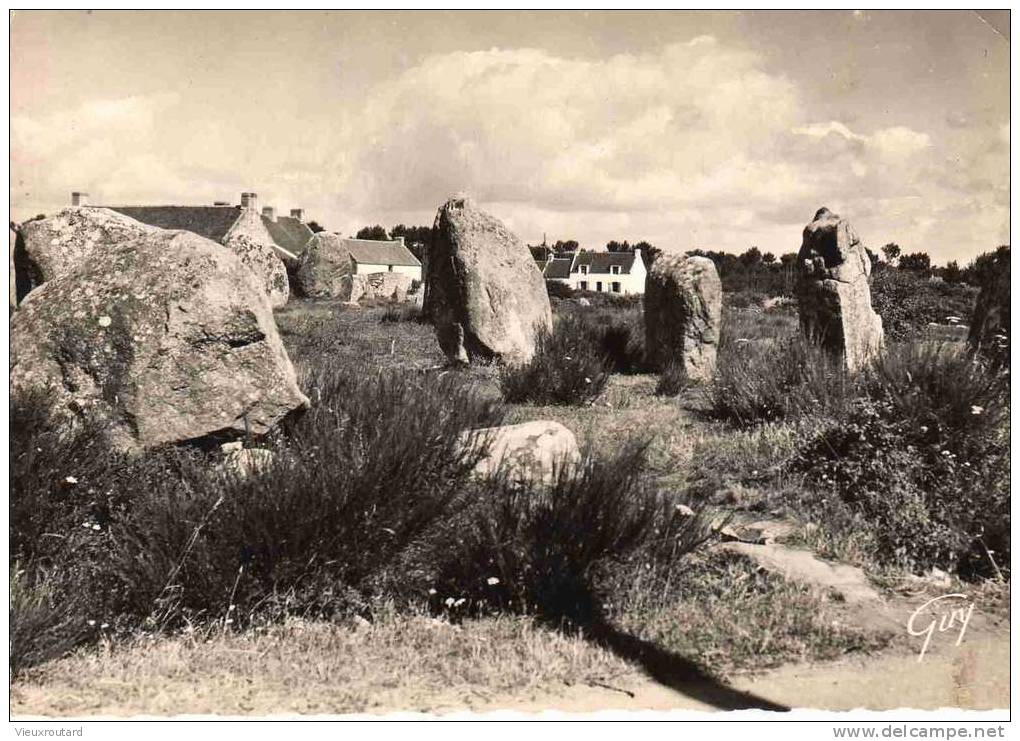 CPSM.  CARNAC. ALIGNEMENTS MEGALITHIQUES DE KERMARIO. DENTELLEE. - Dolmen & Menhire