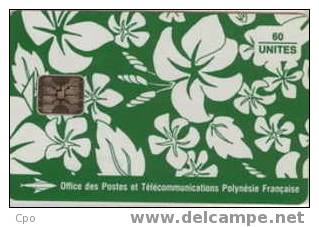 # POLYNESIA 18 Pareo Vert - Mat 60 Sc5   Tres Bon Etat - Polynésie Française