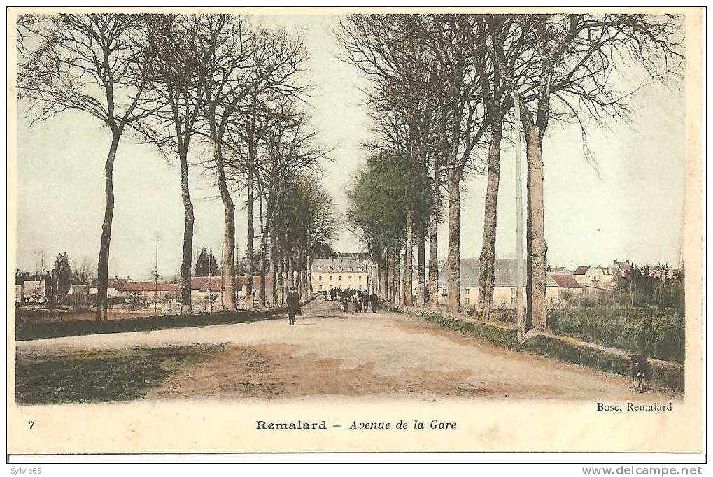 REMALARD-avenue De La Gare - Remalard