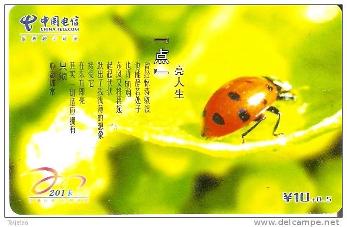 TARJETA DE CHINA DE UNA MARIQUITA   LADYBIRD  (INSECTO-INSECT) - Ladybugs