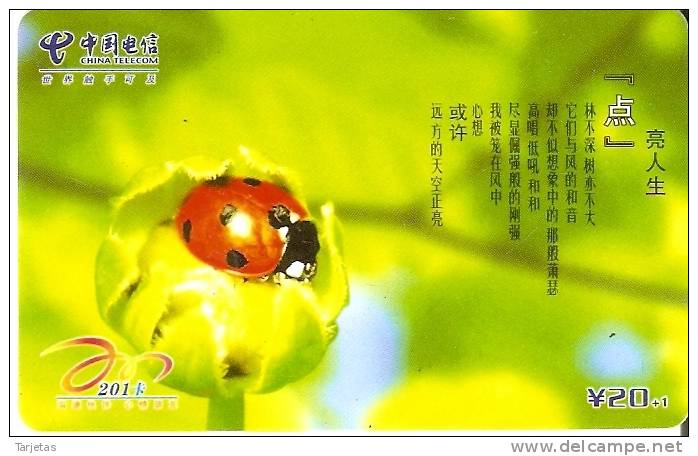 TARJETA DE CHINA DE UNA MARIQUITA   LADYBIRD  (INSECTO-INSECT) - Lieveheersbeestjes