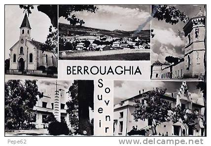 Berrouaghia-souvenir De Berrouaghia-cpsm - Autres & Non Classés