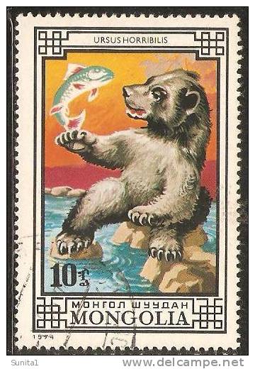 Bear Catching Fish, Mangolia - Ours