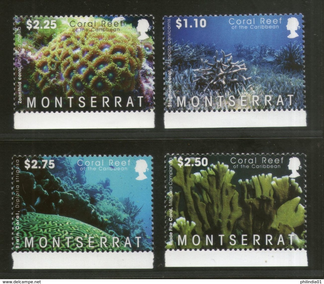 Montserrat 2009 Marine Life Coral Reef Sc 1218-21 4v MNH  # 431 - Marine Life