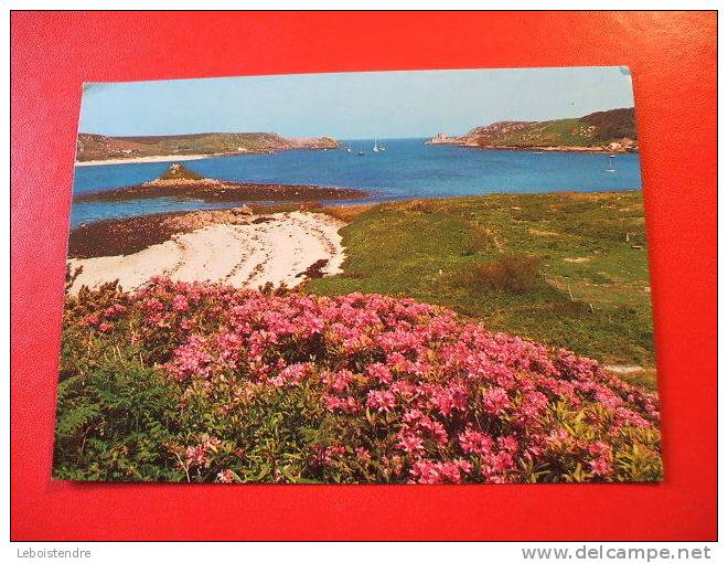 CPM - ANGLETERRE -NEW GRIMSBY CHANNEL,TRESCO ISLES OF SCILLY-CARTE EN BON ETAT. - Sonstige & Ohne Zuordnung