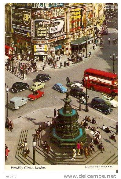 5577/FP/09 - LONDON (GRAN BRETAGNA) - Piccadilly Circus Con Auto.autos, Car, Autobus - Piccadilly Circus