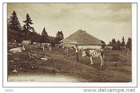 Suisse - RF5840 - Animaux - Vaches - A Identifier - Autour Du Chalet - ( Cachet Saint Georges - Vaud ) - Bon état - Autres & Non Classés