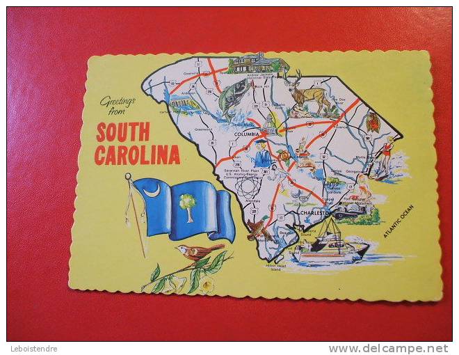 CPSM - ETATS UNIS-SOUTH CAROLINA AUTRES-GREETINGS FROM SOUTH CAROLINA-CARTE EN BON ETAT. - Autres & Non Classés