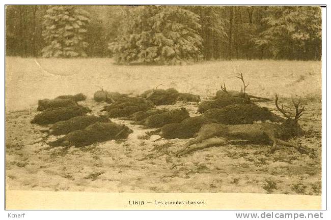 CP De LIBIN " Les Grandes Chasses " Avec Relais De MAISSIN . - Libin