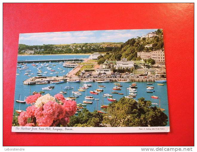 CSPM - ANGLETERRE -DEVON-THE HARBOUR FROM VANE HILL,TORQUAY,DEVON  -. - Torquay