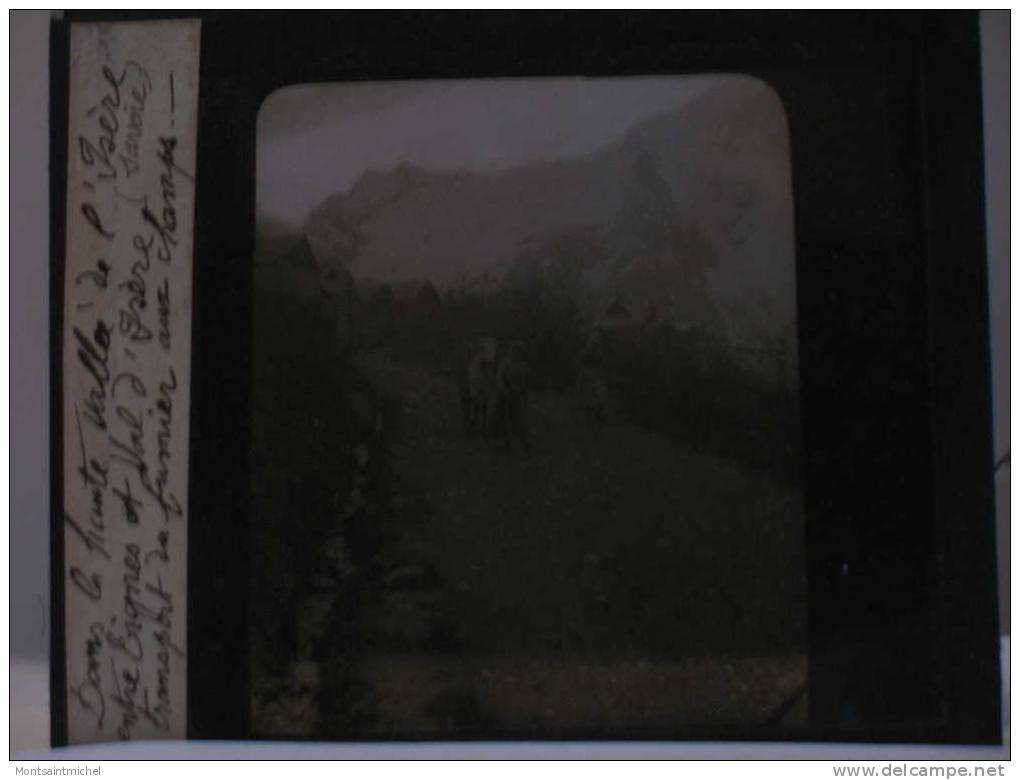 Savoie 73. Vallée De La Haute-Isère. Entre Tignes Et Val D´Isère. Transport Du Fumier Aux Champs.. - Plaques De Verre