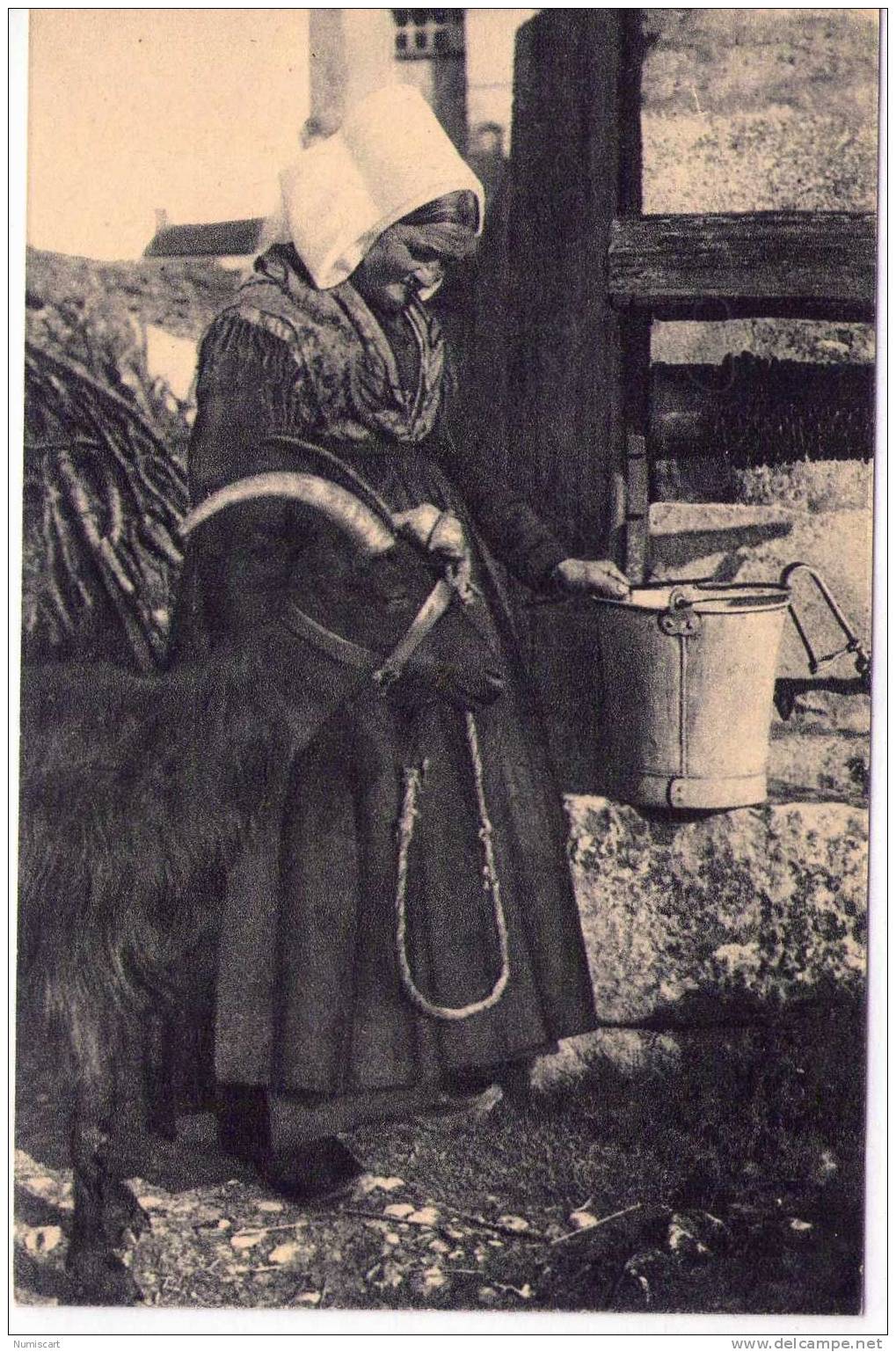 VOUILLE-LA-BATAILLE...CPA...CHAMPIGNY-LE-SEC FEMME EN COSTUME TRADITIONNEL ET SA CHEVRE - Vouille