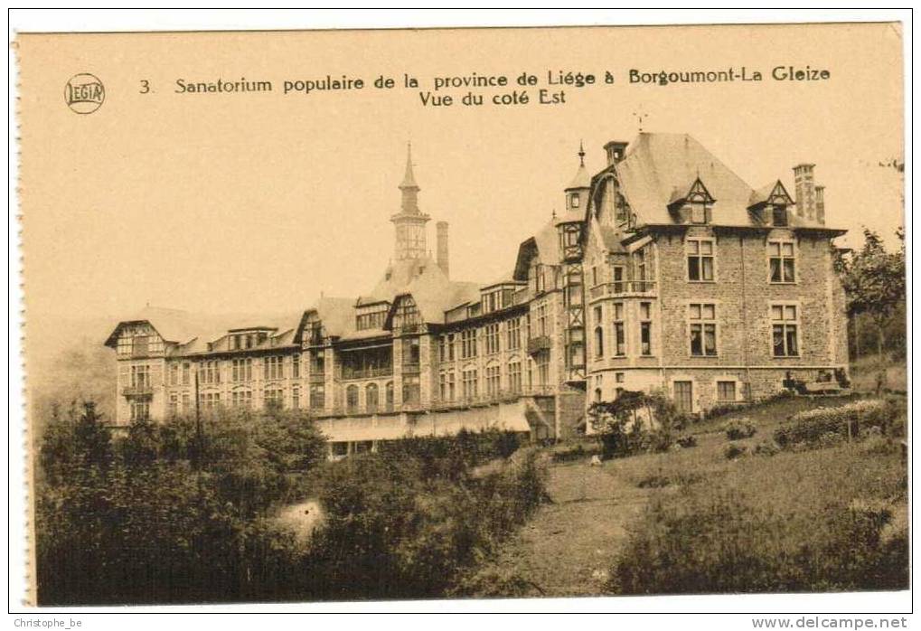 CPA Sanatorium Populaire De La Province De Liège à Bourgoumont Le Gleize Vue Coté Est (pk651) - Stoumont