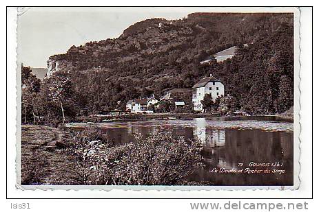 Suisse - RF5851 - Jura - Goumois - Le Doubs Et Rocher Du Singe - Semi Moderne Petit Format - état - Goumois