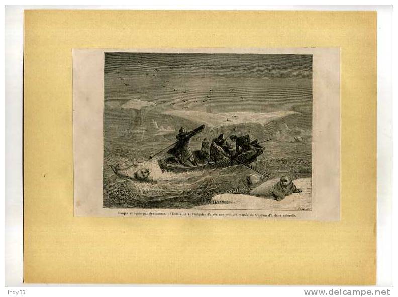 - BARQUE ATTAQUEE PAR DES MORSES . GRAVURE SUR BOIS DU XIXe S. DECOUPEE ET COLLEE SUR PAPIER - Art