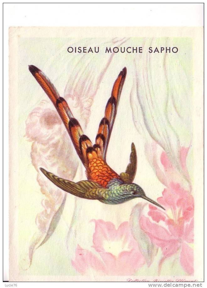 COLLECTIONS BISCOTTES CLEMENT -  OISEAU MOUCHE SAPHO - Altri & Non Classificati