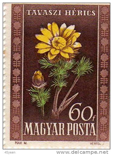 Hongrie: 1950 Y&T N°965 N* Légère Charnière, Fleur Adonide - Nuevos