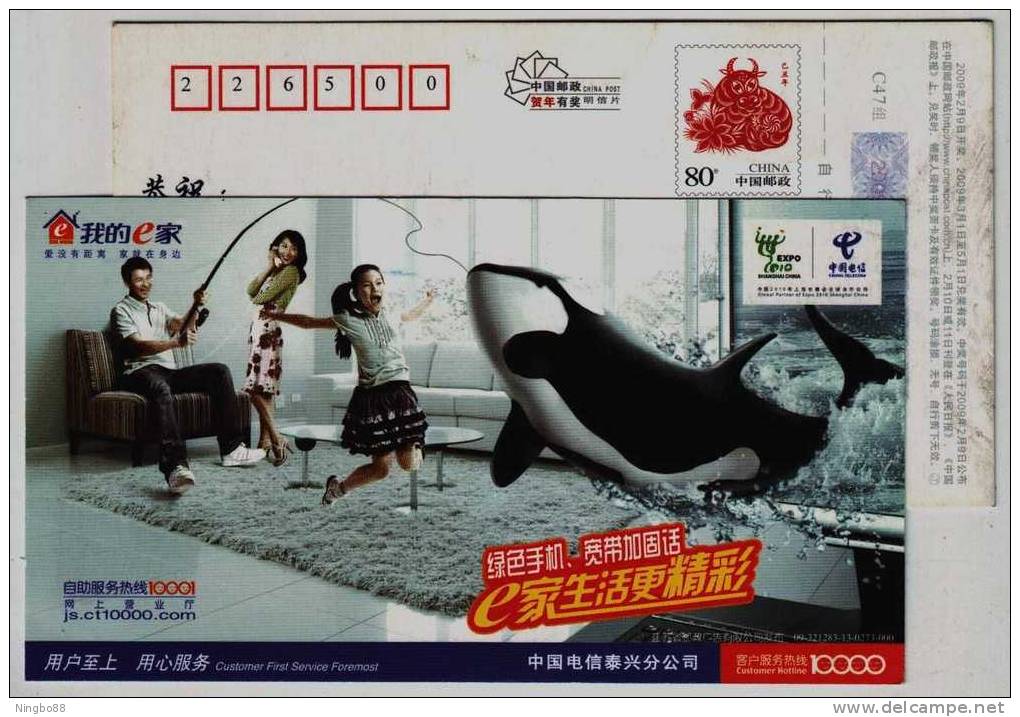 Giant Whale Angling,fishing,China 2009 Taixing Telecom Advertising Pre-stamped Card - Baleines