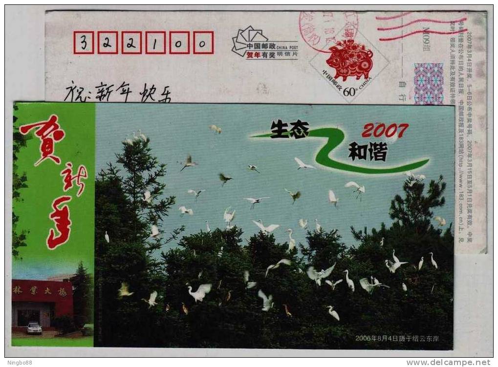 Egret Bird Species,China 2007 Jingyun Harmonious Ecological Environment Advertising Pre-stamped Card - Cigognes & échassiers