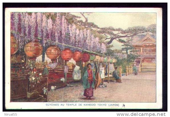 Glycines Au Temple De KAMEIDO TOKYO  JAPON - Tokio