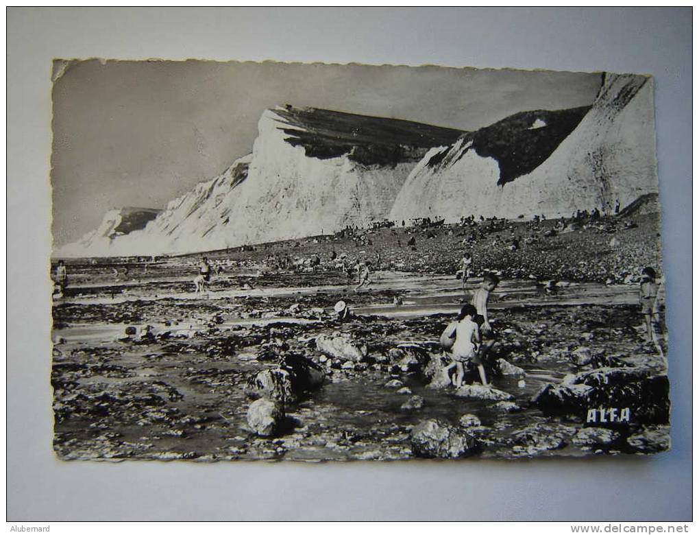 Berneval .La Plage Et Les Falaises  . C.p.photo 14x9 - Berneval