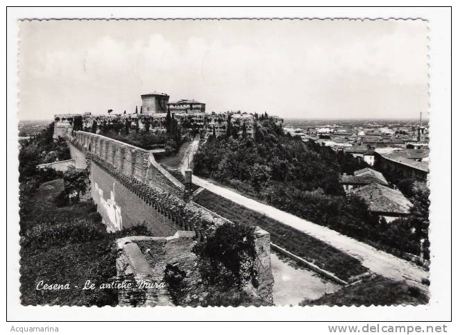 CESENA - Le Antiche Mura - Cartolina FG BN V - Cesena