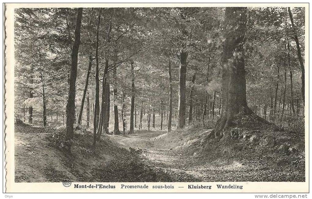 MONT DE L'ENCLUS / KLUISBERG - SOUS-BOIS - Mont-de-l'Enclus