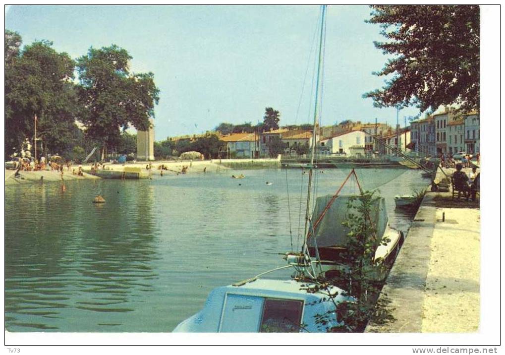 CpF1476 - SAUJON - Le Port De Ribérou - (17 - Charentes Maritimes) - Saujon