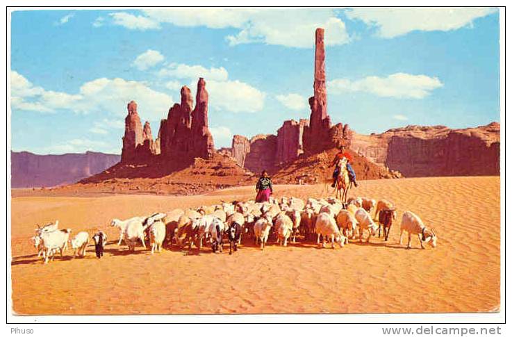 US-07 : NAVAJO Woman Taking Their Sheep To Water - Indianer